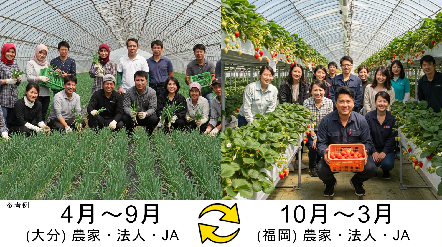 外国人農業人材を通じた農業法人、農家、農協（JA）との連携